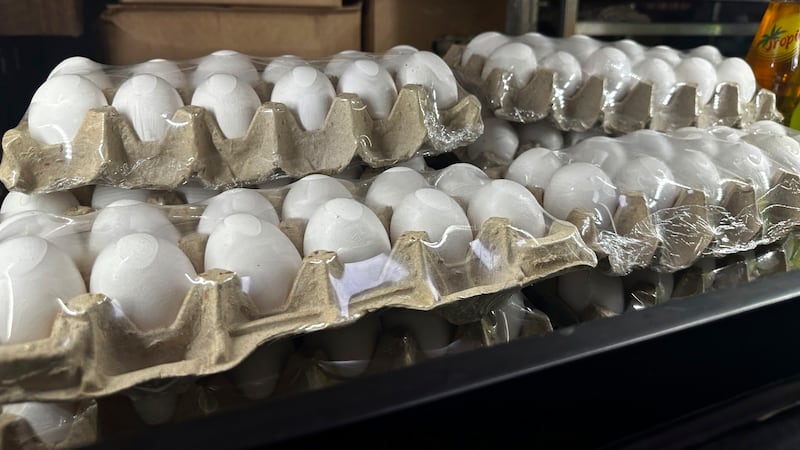 Cajas de huevos dentro de un refrigerador en Norma's Sweets Bakery martes, 11 de febrero 2025,...
