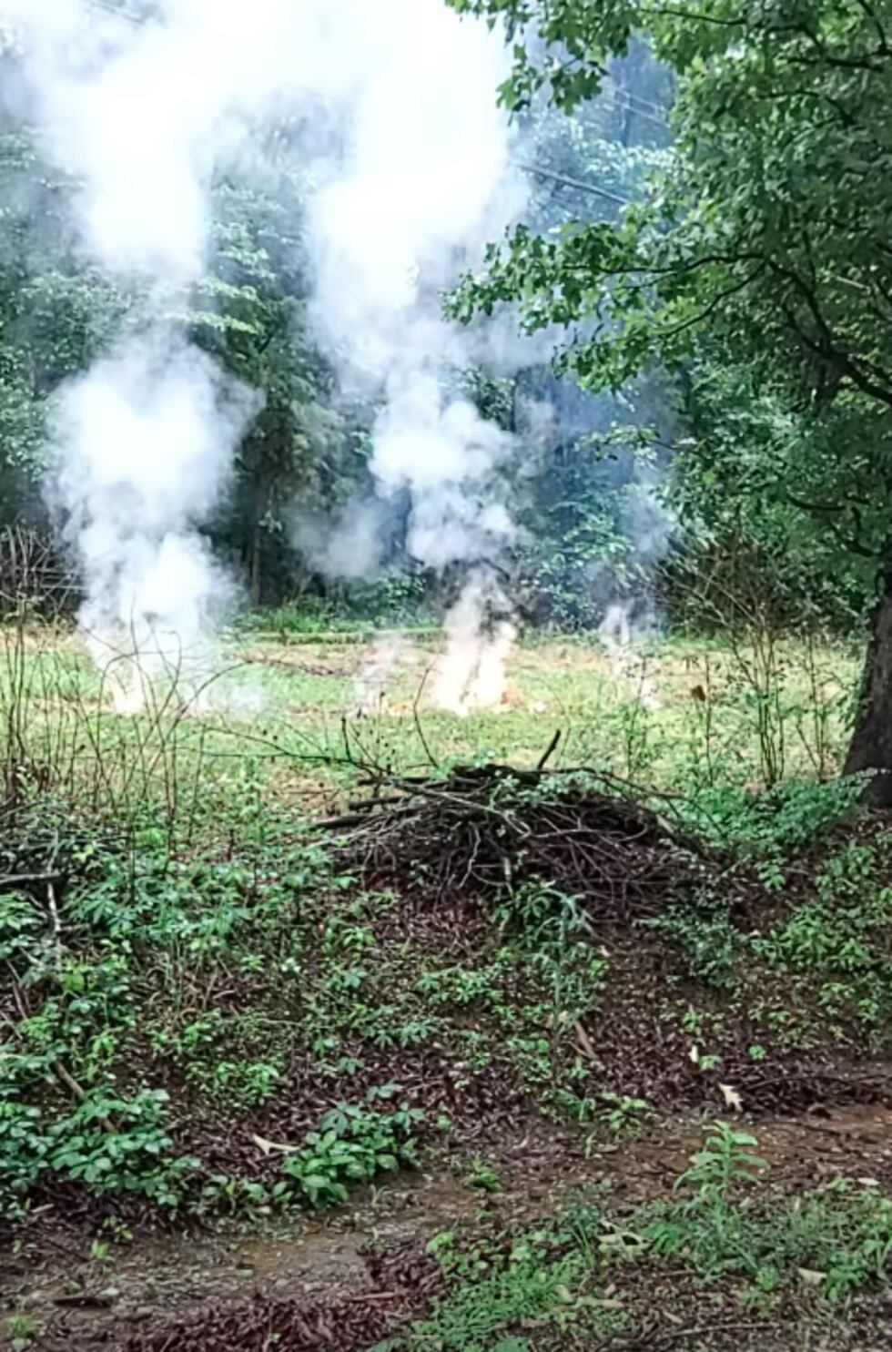 Down power line in Lauderdale County on Sunday, June 7, 2026.