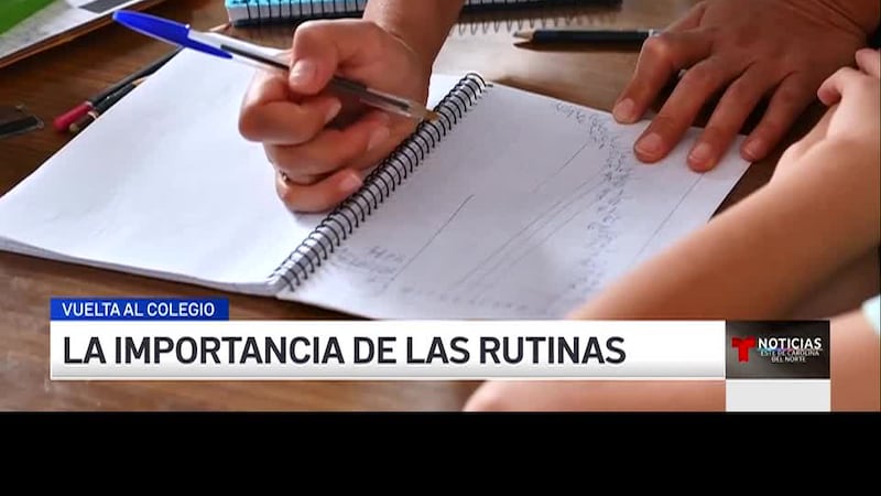 Expertos aseguran que las rutinas estructuradas facilitan las mañanas y además son el factor...