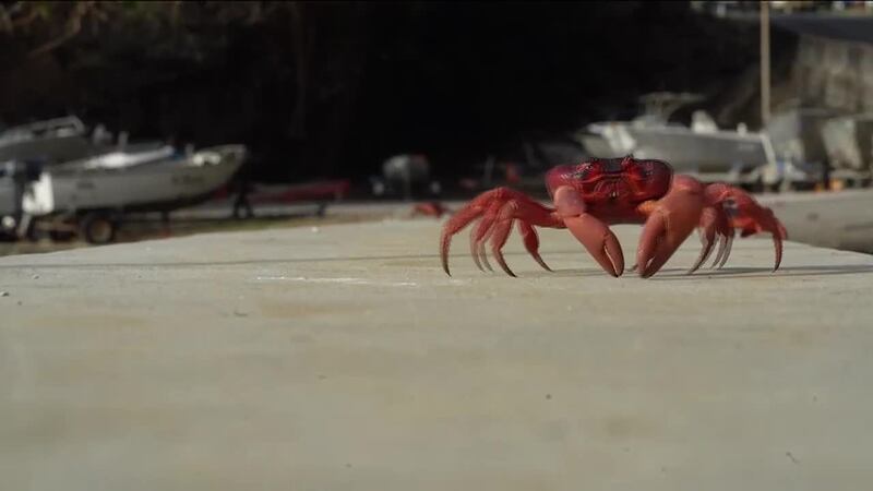 Top 5 con Miguel Ángel Antoñanzas | 24 de octubre de 2025